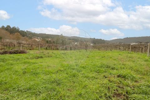 Villa a Fontoura, Viana do Castelo, Fontoura - € 190.000 | Ref: 123331184-7 - foto 13