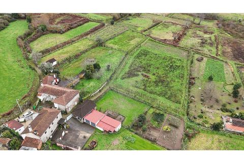 Villa a Fontoura, Viana do Castelo, Fontoura - € 190.000 | Ref: 123331184-7 - foto 45