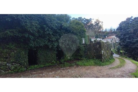 Villa i Ponte da Barca, Viana do Castelo, Ponte da Barca - € 70.000 | Ref: 123331167-594 - foto 4