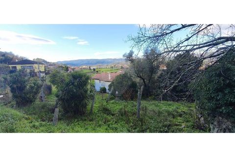 Villa i Ponte da Barca, Viana do Castelo, Ponte da Barca - € 70.000 | Ref: 123331167-594 - foto 17