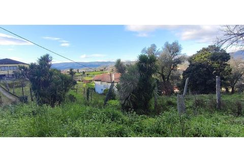 Villa i Ponte da Barca, Viana do Castelo, Ponte da Barca - € 70.000 | Ref: 123331167-594 - foto 19