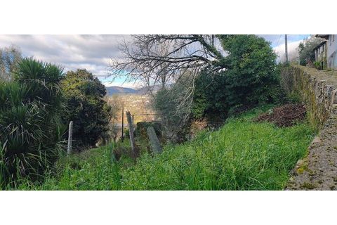 Villa a Ponte da Barca, Viana do Castelo, Ponte da Barca - € 130.000 | Ref: 123331167-595 - foto 14