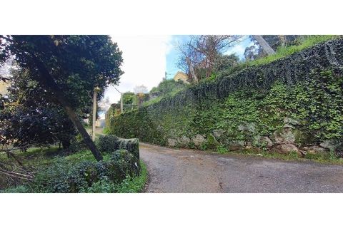 Villa a Ponte da Barca, Viana do Castelo, Ponte da Barca - € 130.000 | Ref: 123331167-595 - foto 15