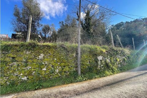 Villa a Ponte da Barca, Viana do Castelo, Ponte da Barca - € 130.000 | Ref: 123331167-595 - foto 22