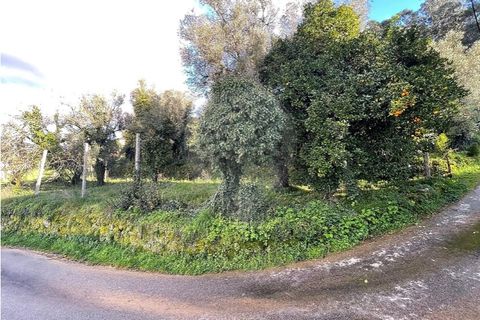 Villa a Ponte da Barca, Viana do Castelo, Ponte da Barca - € 130.000 | Ref: 123331167-595 - foto 26