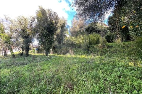 Villa a Ponte da Barca, Viana do Castelo, Ponte da Barca - € 130.000 | Ref: 123331167-595 - foto 28