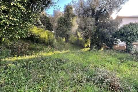 Villa a Ponte da Barca, Viana do Castelo, Ponte da Barca - € 130.000 | Ref: 123331167-595 - foto 29