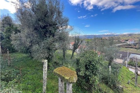 Villa a Ponte da Barca, Viana do Castelo, Ponte da Barca - € 130.000 | Ref: 123331167-595 - foto 30
