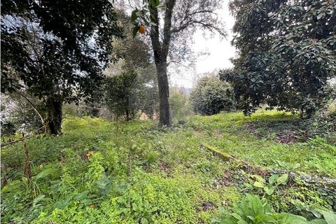 Villa a Ponte da Barca, Viana do Castelo, Ponte da Barca - € 130.000 | Ref: 123331167-595 - foto 31