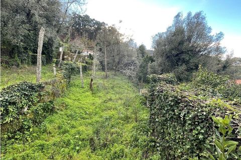 Villa a Ponte da Barca, Viana do Castelo, Ponte da Barca - € 130.000 | Ref: 123331167-595 - foto 32