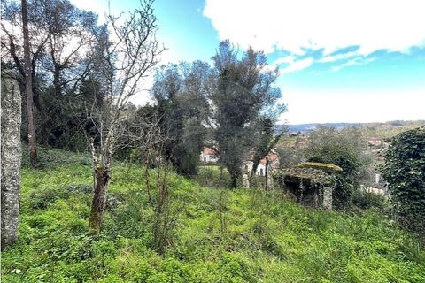 Villa a Ponte da Barca, Viana do Castelo, Ponte da Barca - € 130.000 | Ref: 123331167-595 - foto 33