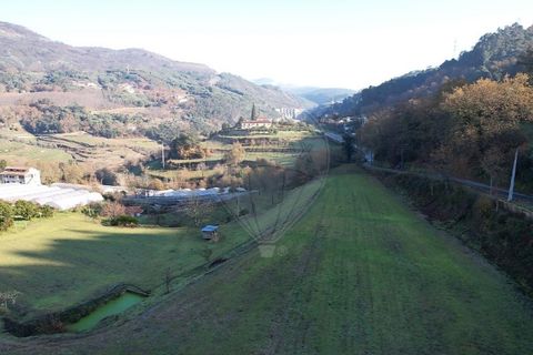 Villa i Cavez, Braga, Cavez - € 150.000 | Ref: 126311009-11 - foto 9