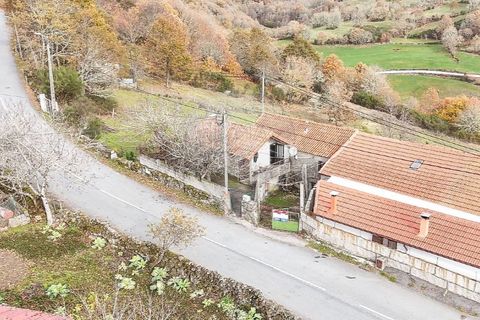 Villa i Sezelhe e Covelaes, Vila Real, Sezelhe e Covelaes - € 74.900 | Ref: 126381029-14 - foto 3