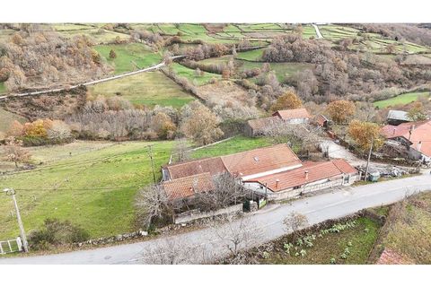 Villa i Sezelhe e Covelaes, Vila Real, Sezelhe e Covelaes - € 74.900 | Ref: 126381029-14 - foto 4
