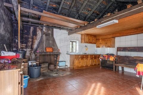 Villa i Sezelhe e Covelaes, Vila Real, Sezelhe e Covelaes - € 74.900 | Ref: 126381029-14 - foto 12