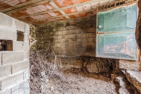 Villa i Sezelhe e Covelaes, Vila Real, Sezelhe e Covelaes - € 74.900 | Ref: 126381029-14 - foto 32
