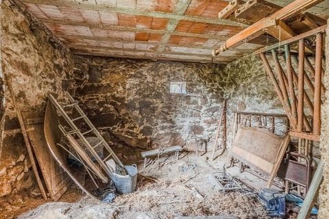 Villa i Sezelhe e Covelaes, Vila Real, Sezelhe e Covelaes - € 74.900 | Ref: 126381029-14 - foto 35