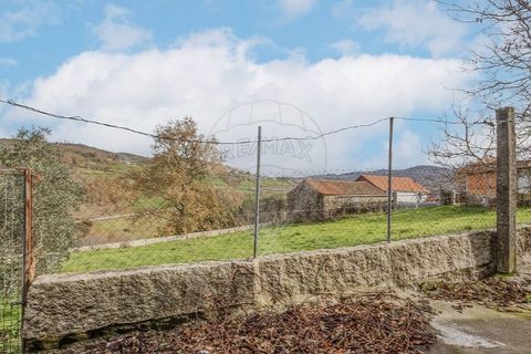 Villa i Sezelhe e Covelaes, Vila Real, Sezelhe e Covelaes - € 74.900 | Ref: 126381029-14 - foto 41