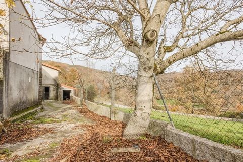 Villa i Sezelhe e Covelaes, Vila Real, Sezelhe e Covelaes - € 74.900 | Ref: 126381029-14 - foto 44