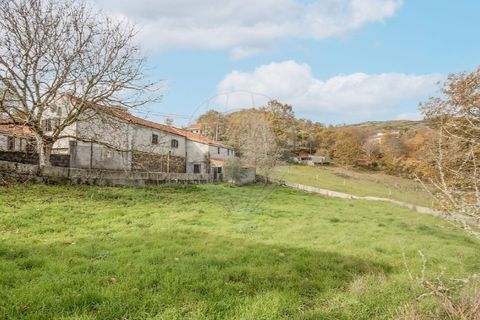 Villa i Sezelhe e Covelaes, Vila Real, Sezelhe e Covelaes - € 74.900 | Ref: 126381029-14 - foto 47