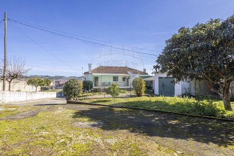 Villa i Valpacos, Vila Real, Valpacos - € 220.000 | Ref: 126381027-11 - foto 42