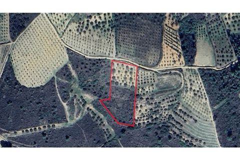 Helårsgrund i Valpacos, Vila Real, Valpacos - € 22.500 | Ref: 126381027-12 - foto 8