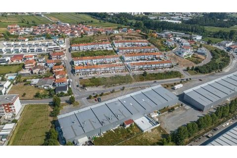 Terra a Ribeirao, Braga, Ribeirao - € 330.000 | Ref: 123331028-46 - foto 5