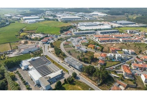 Terra a Ribeirao, Braga, Ribeirao - € 330.000 | Ref: 123331028-46 - foto 6