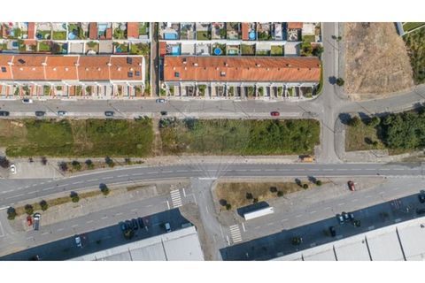Terra a Ribeirao, Braga, Ribeirao - € 330.000 | Ref: 123331028-46 - foto 10