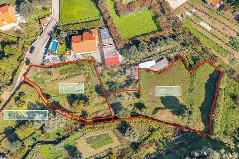 Tomt i Ponte de Lima, Viana do Castelo, Ponte de Lima - € 75 000 | Ref: 123331135-95 - foto 4