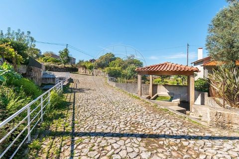Tomt i Ponte de Lima, Viana do Castelo, Ponte de Lima - € 75 000 | Ref: 123331135-95 - foto 6