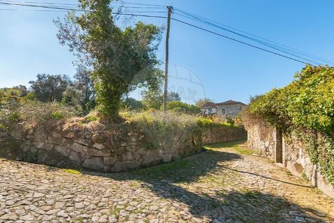 Tomt i Ponte de Lima, Viana do Castelo, Ponte de Lima - € 75 000 | Ref: 123331135-95 - foto 7