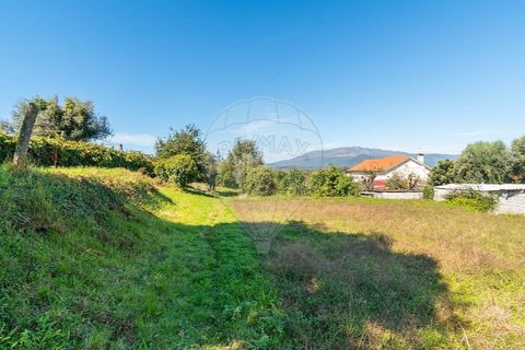 Tomt i Ponte de Lima, Viana do Castelo, Ponte de Lima - € 75 000 | Ref: 123331135-95 - foto 8