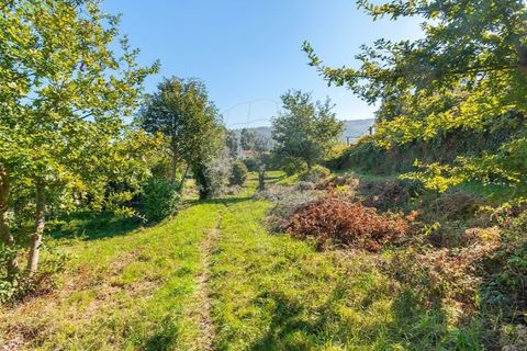 Tomt i Ponte de Lima, Viana do Castelo, Ponte de Lima - € 75 000 | Ref: 123331135-95 - foto 9