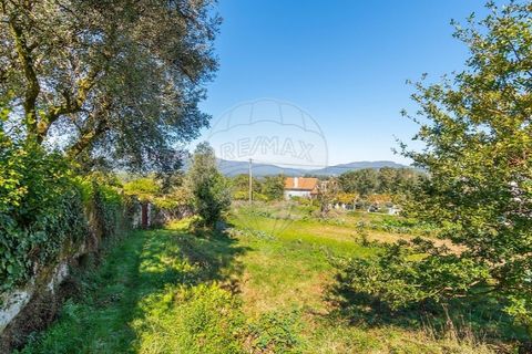Tomt i Ponte de Lima, Viana do Castelo, Ponte de Lima - € 75 000 | Ref: 123331135-95 - foto 10