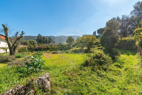 Tomt i Ponte de Lima, Viana do Castelo, Ponte de Lima - € 75 000 | Ref: 123331135-95 - foto 13