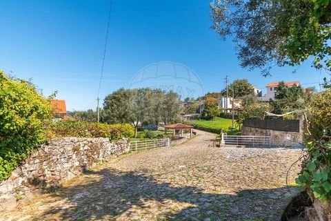 Tomt i Ponte de Lima, Viana do Castelo, Ponte de Lima - € 75 000 | Ref: 123331135-95 - foto 14