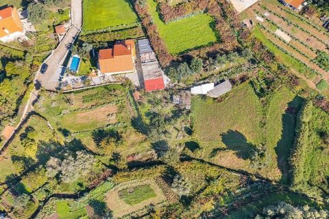 Tomt i Ponte de Lima, Viana do Castelo, Ponte de Lima - € 75 000 | Ref: 123331135-95 - foto 19