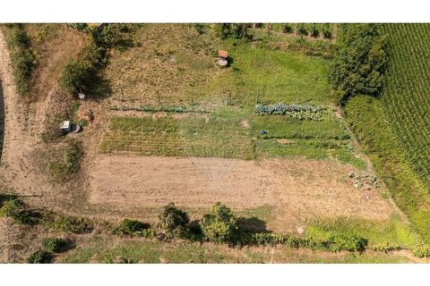 Helårsgrund i Braga, Braga, Braga - € 81.900 | Ref: 123331208-11 - foto 4