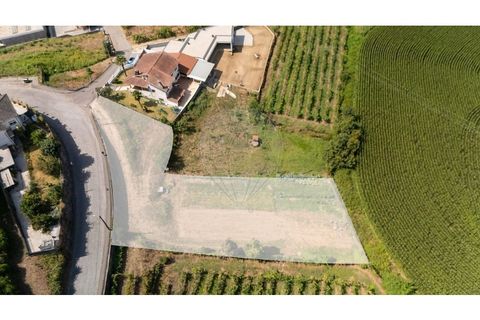 Helårsgrund i Braga, Braga, Braga - € 81.900 | Ref: 123331208-11 - foto 7
