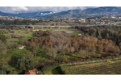 Farm i Ponte de Lima, Viana do Castelo, Ponte de Lima - € 299.000 | Ref: 123731006-163 - foto 2