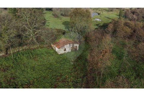 Farm i Ponte de Lima, Viana do Castelo, Ponte de Lima - € 299.000 | Ref: 123731006-163 - foto 3