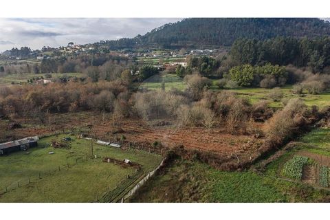 Farm i Ponte de Lima, Viana do Castelo, Ponte de Lima - € 299.000 | Ref: 123731006-163 - foto 4