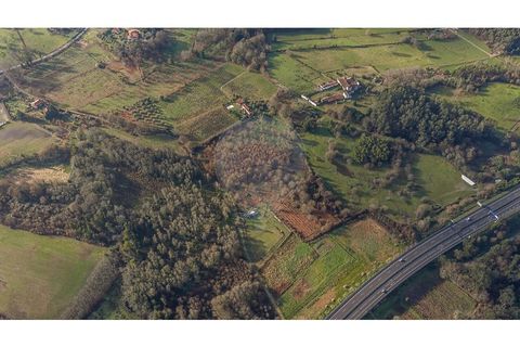 Farm i Ponte de Lima, Viana do Castelo, Ponte de Lima - € 299.000 | Ref: 123731006-163 - foto 5