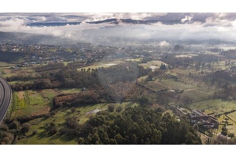 Farm i Ponte de Lima, Viana do Castelo, Ponte de Lima - € 299.000 | Ref: 123731006-163 - foto 6