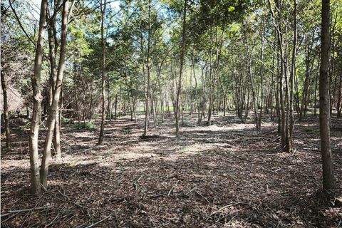 Farm i Ponte de Lima, Viana do Castelo, Ponte de Lima - € 299.000 | Ref: 123731006-163 - foto 10