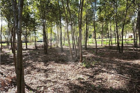 Farm i Ponte de Lima, Viana do Castelo, Ponte de Lima - € 299.000 | Ref: 123731006-163 - foto 11