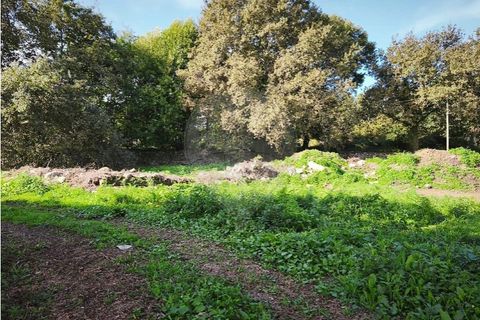Farm i Ponte de Lima, Viana do Castelo, Ponte de Lima - € 299.000 | Ref: 123731006-163 - foto 13