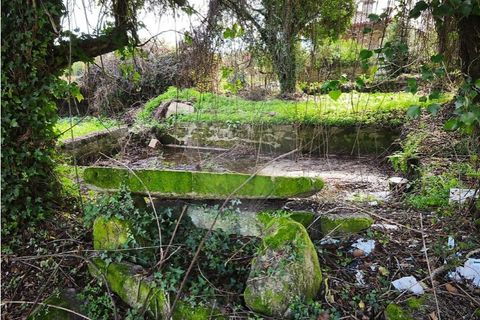 Farm i Ponte de Lima, Viana do Castelo, Ponte de Lima - € 299.000 | Ref: 123731006-163 - foto 14