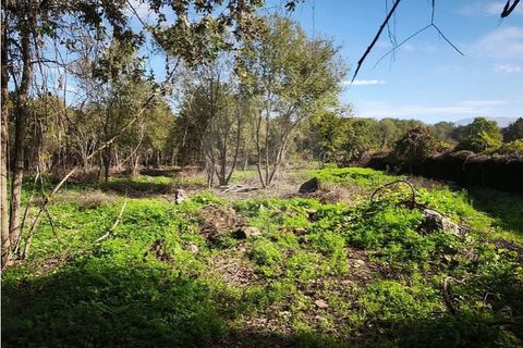 Farm i Ponte de Lima, Viana do Castelo, Ponte de Lima - € 299.000 | Ref: 123731006-163 - foto 15